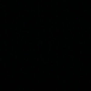 Meet your Posher, Blaize